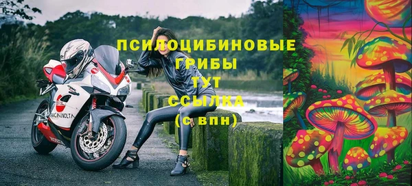 гидропоника Верея