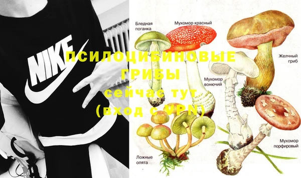 эйфоретик Верхний Тагил
