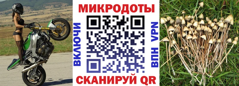 Галлюциногенные грибы Psilocybine cubensis  купить наркотик  Лосино-Петровский 